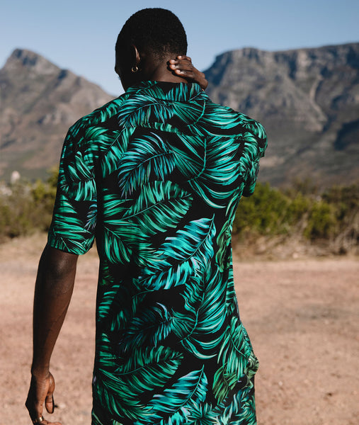 Palms