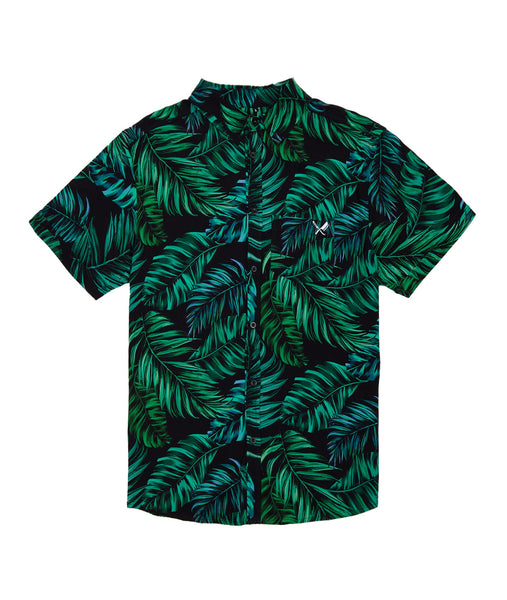 Palms
